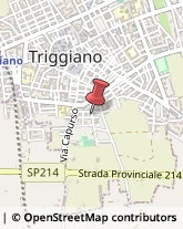 Spezie Triggiano,70019Bari