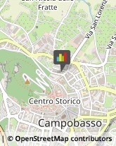 Zootecnia - Centri Riproduzione e Sperimentazione Campobasso,86100Campobasso