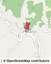 Geometri Paliano,03018Frosinone