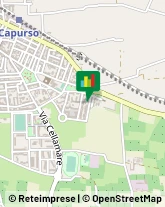 Via Padre Pio da Pietralcina, 28,70010Capurso