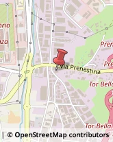 Pneumatici - Commercio Roma,00155Roma