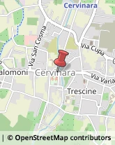 Gelaterie Cervinara,83012Avellino