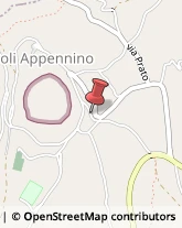 Supermercati e Grandi magazzini Campoli Appennino,03030Frosinone