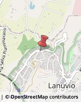 Legname da Costruzione Lanuvio,00040Roma