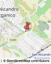 Piante e Fiori - Dettaglio San Nicandro Garganico,71015Foggia