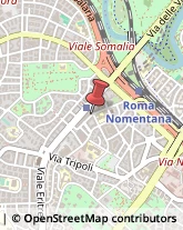 Formaggi e Latticini - Dettaglio Roma,00199Roma