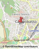 Trasporto Pubblico,86100Campobasso