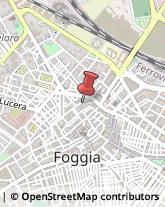 Avicoltura,71121Foggia