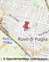 Borse - Dettaglio Ruvo di Puglia,70037Bari