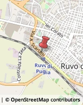 Trasporto Pubblico Ruvo di Puglia,70037Bari