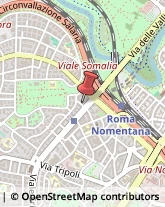 Arredamento - Produzione e Ingrosso Roma,00199Roma