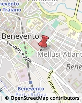 Piante e Fiori - Dettaglio Benevento,82100Benevento