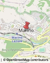 Pasticcerie - Produzione e Ingrosso Marino,00047Roma