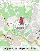 Spezie Monte Porzio Catone,00040Roma