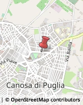 Licei - Scuole Private Canosa di Puglia,76012Barletta-Andria-Trani