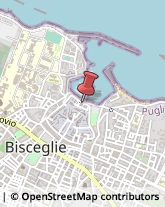 Caccia e Pesca Articoli - Dettaglio Bisceglie,76011Barletta-Andria-Trani