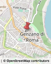 Bulbi e Sementi Genzano di Roma,00045Roma