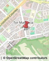 Viale di Tor Marancia, 62,00147Roma