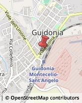 Traduttori ed Interpreti Guidonia Montecelio,00012Roma