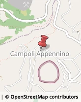 Società di Ingegneria Campoli Appennino,03030Frosinone
