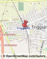 Locali, Birrerie e Pub Triggiano,70019Bari