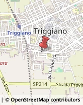 Enoteche Triggiano,Bari