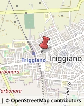 Laboratori di Analisi Cliniche Triggiano,70019Bari