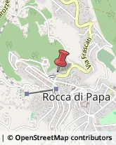 Piante e Fiori - Dettaglio Rocca di Papa,00040Roma