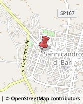 Paste Alimentari - Dettaglio Sannicandro di Bari,70028Bari