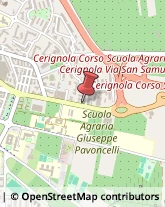 Ambulatori e Consultori,71042Foggia