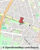 Via Emilio Macro, 31,00169Roma