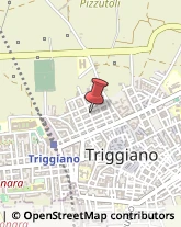 Componenti Elettronici Triggiano,70019Bari