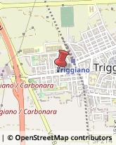 Bar e Caffetterie Triggiano,70019Bari