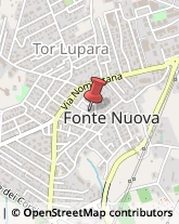 Naturopatia Fonte Nuova,00013Roma