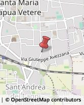 Elementari - Scuole Private Santa Maria Capua Vetere,81055Caserta