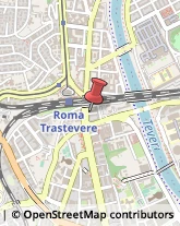 Odontoiatria - Forniture e Apparecchi Roma,00146Roma