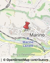 Consulenza Industriale Marino,00047Roma