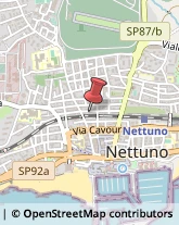 Designers - Studi Nettuno,00048Roma