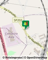 Bigiotteria - Dettaglio Maddaloni,81024Caserta