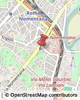 Psicoanalisi - Studi e Centri Roma,00162Roma