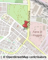 Agenzie Immobiliari,71122Foggia