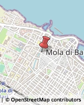 Alimenti Surgelati - Dettaglio Mola di Bari,70042Bari