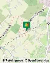 Serramenti ed Infissi, Portoni, Cancelli Campobasso,86100Campobasso
