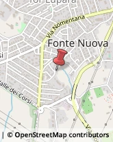 Articoli da Regalo - Dettaglio Fonte Nuova,00013Roma