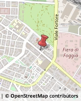 Assicurazioni,71121Foggia