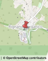Imprese Edili Rignano Garganico,71010Foggia