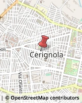 Erboristerie Cerignola,71042Foggia