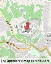 Alimentari Monte Porzio Catone,00040Roma