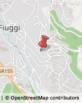 Logopedia Fiuggi,03014Frosinone