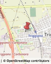 Commercialisti Triggiano,70019Bari